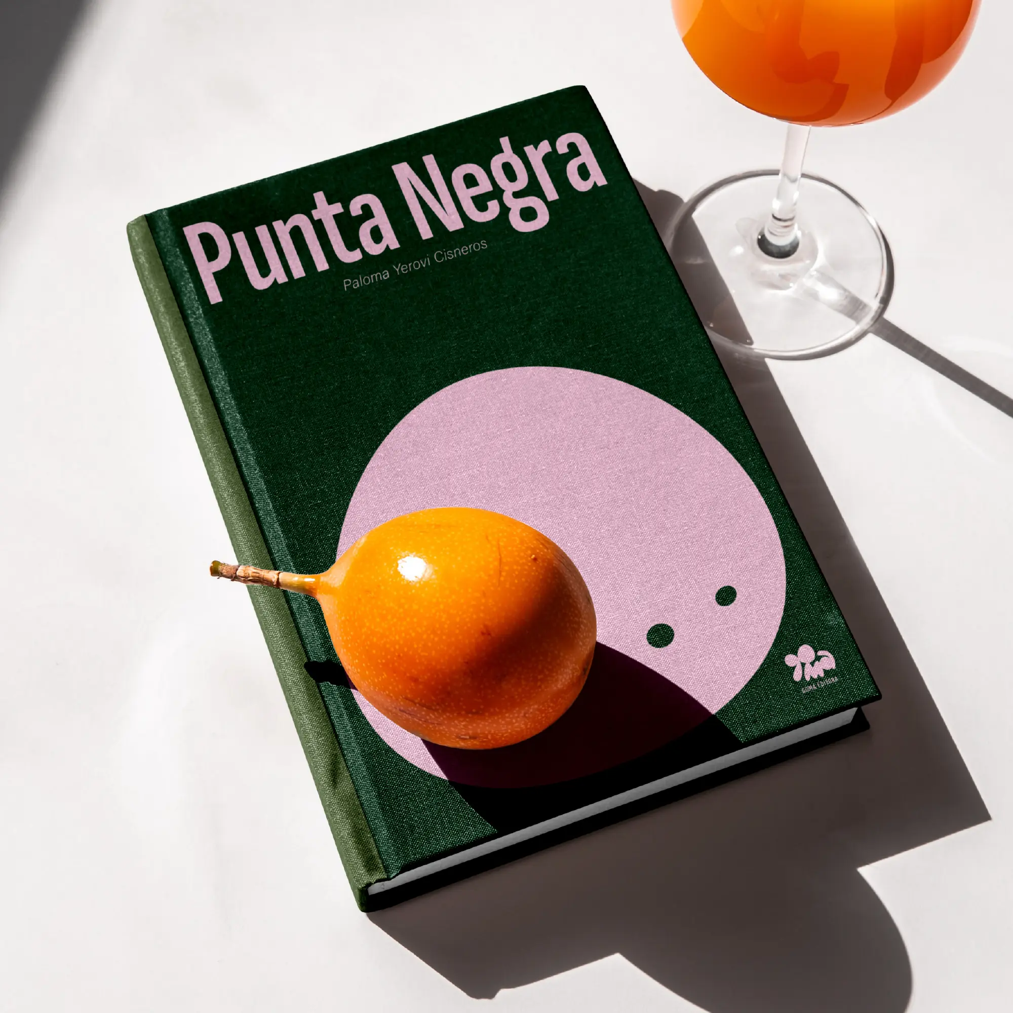 Punta Negra book cover with a pink Goma character and orange object.