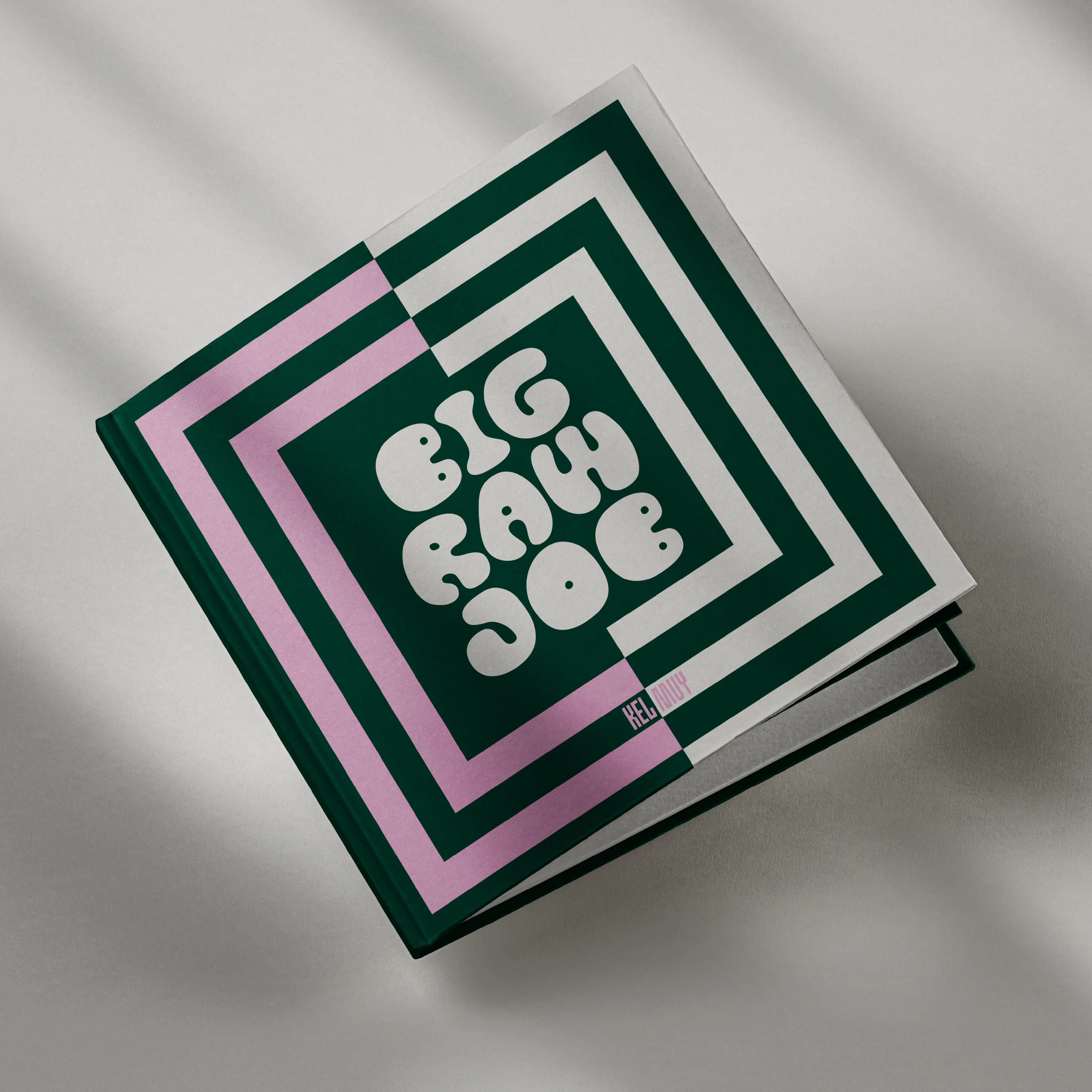 Square booklet cover reading Big Fat Book in striped Brinca type.